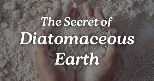 The Secret Behind Fast-Drying Magic: What Is Diatomaceous Earth?